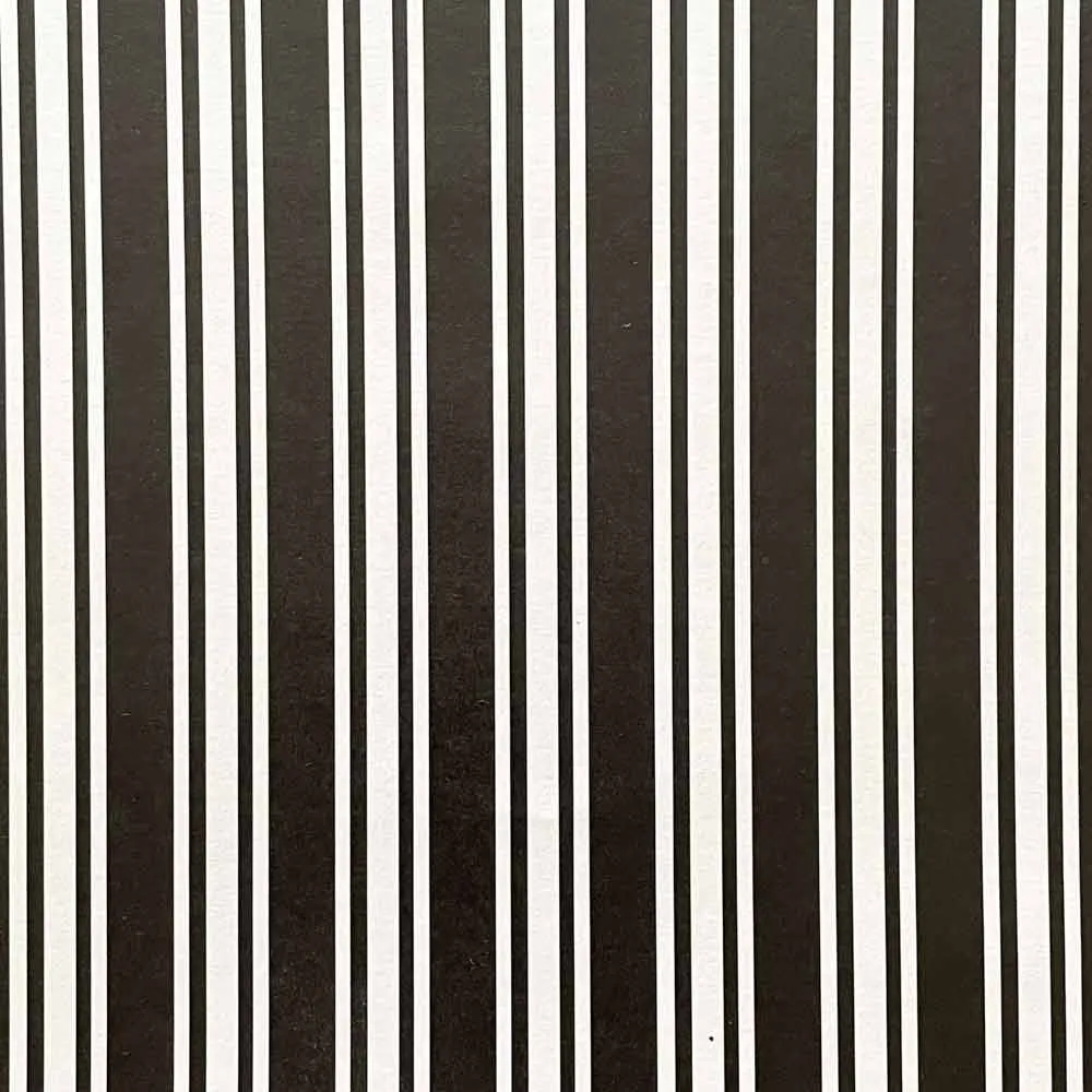 Classic Stripe Paper in Black and White