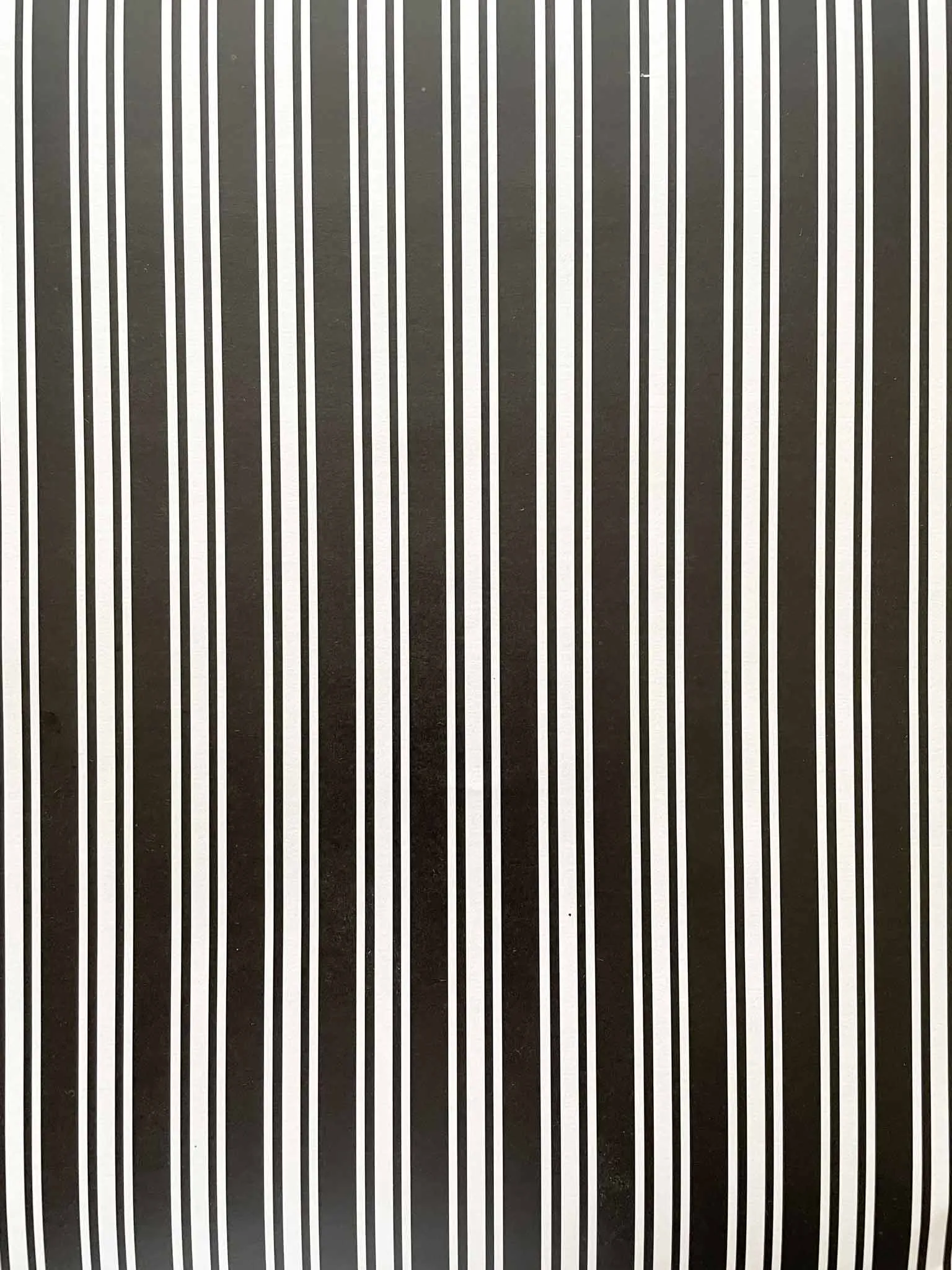 Classic Stripe Paper in Black and White
