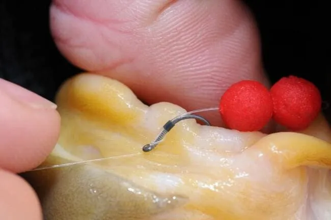 Guru QM1 Hooks